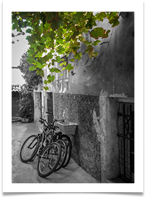 02 in the shade - Carol Sparkes